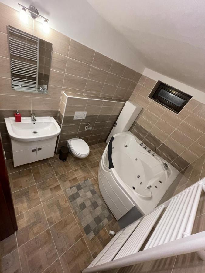 - V Srdci Krusnych Hor Apartment Jáchymov